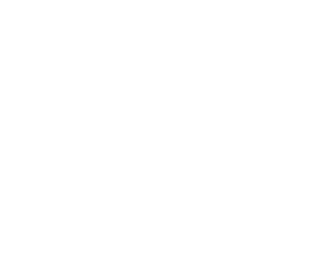 Southcoast Refrigeration logo in reverse
